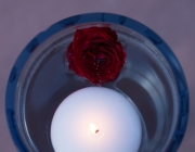 _SRP0277