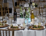 Gala_2020_3304