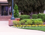 1-_MG_3216