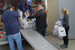 Nestlé Volunteers
